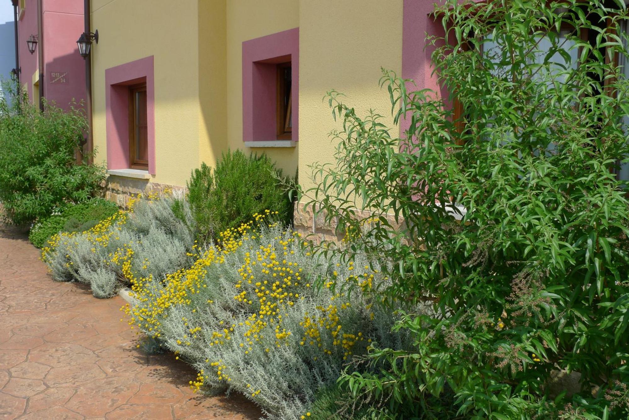 Apartamentos Rurales Antojanes Гранда Екстер'єр фото